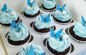 "Бабочки" купить